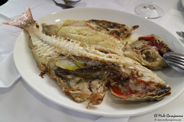 Restaurante el Galeón Somo Cantabria