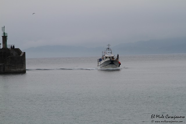 Lastres Bar del Puerto Asturias