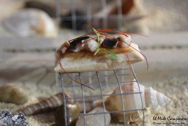 II Campeonato de España de Tapas Marineras en Noja