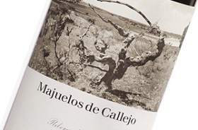 bodegas callejo 006
