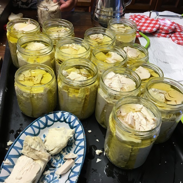 Embotando Bonito, receta conserva bonito