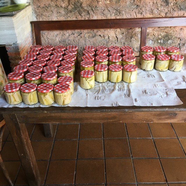 Embotando Bonito, receta conserva bonito