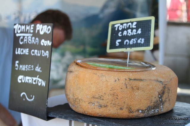 XXII Feria Internacional del Queso Artesano de Pesquera