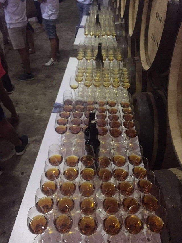 2016 Sherrimaster Tio Pepe