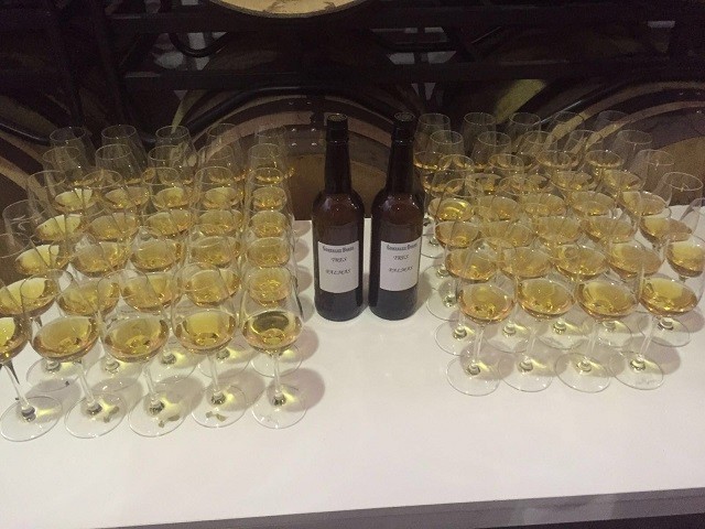 2016 Sherrimaster Tio Pepe
