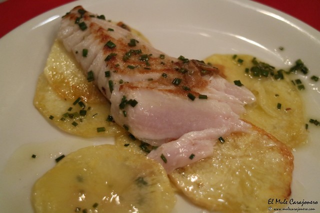 Vermuteria Solorzano Santander