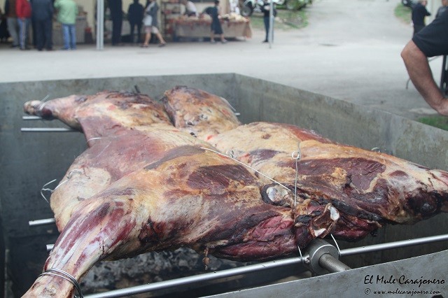 hechu en liebana 2016
