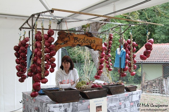 hechu en liebana 2016