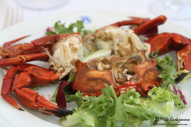Restaurante Arillo Noja Cantabria