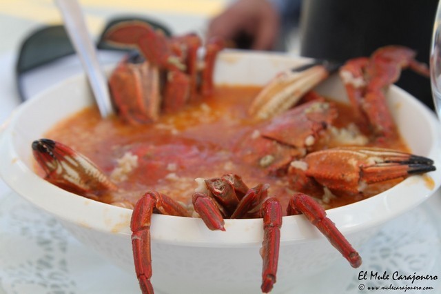 Restaurante Arillo Noja Cantabria