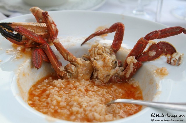 Restaurante Arillo Noja Cantabria