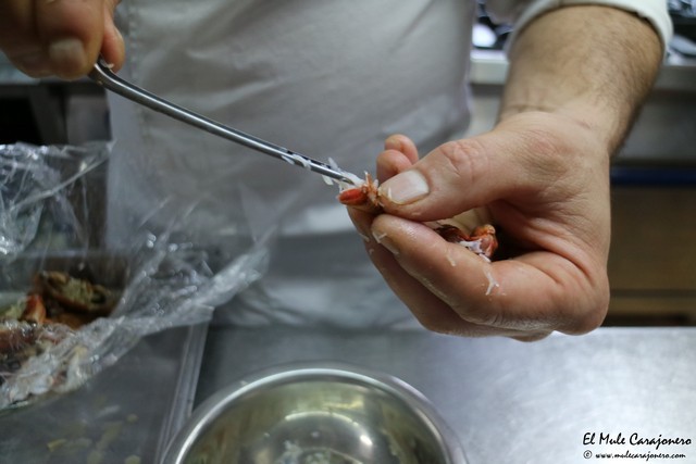 Premios Necora Noja 2016 canelon de Necora receta