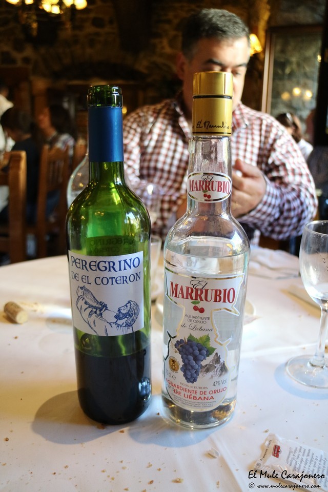 Comioda Capuchinos 2016 El Bodegos Potes