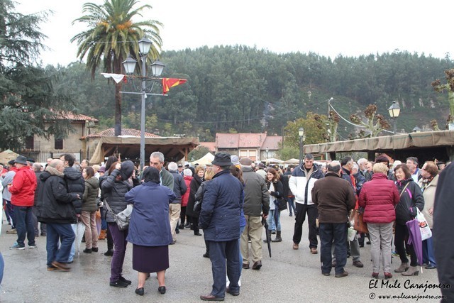 Feria de la Alubia y la Hortaliza en Casar de Periedo 2016