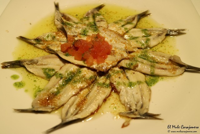 Restaurante Zissou Santander Cantabria