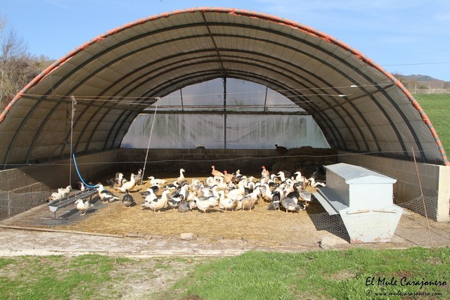 Granja la llueza