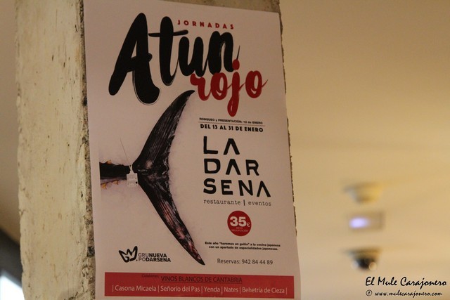Ronqueo y Jornadas del atun 2017 en La Darsena