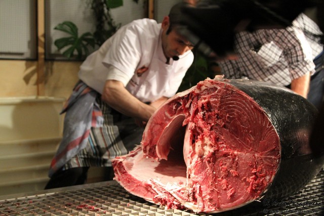 Ronqueo y Jornadas del atun 2017 en La Darsena