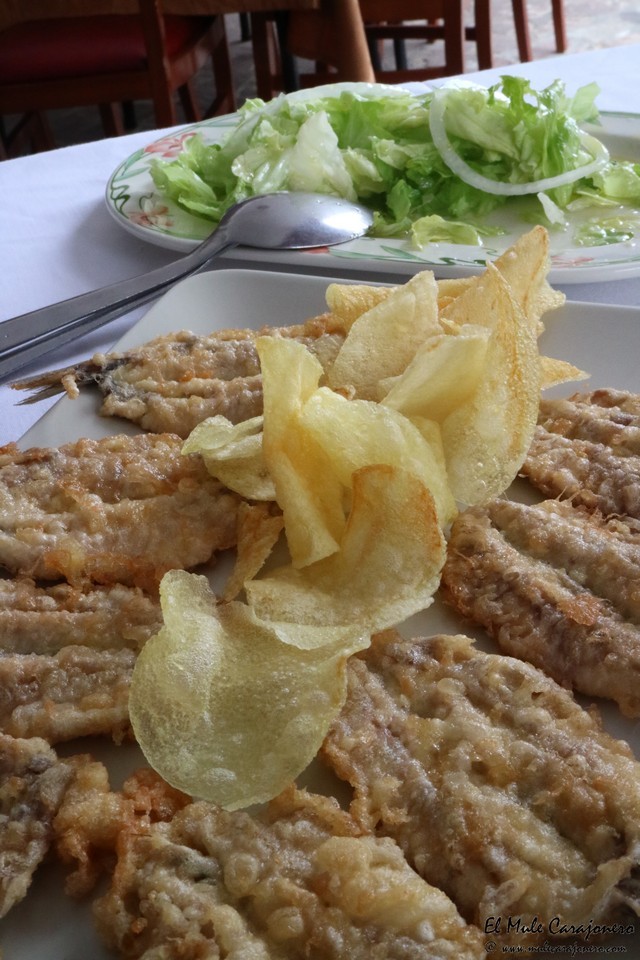 Cantabria Comillas Marisqueria Adolfo