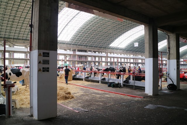 I Concurso AFCA de quesos de vaca de Cantabria