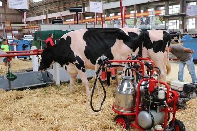 I Concurso AFCA de quesos de vaca de Cantabria