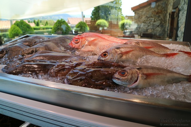 Restaurante Portuondo Vizcaya Mundaka