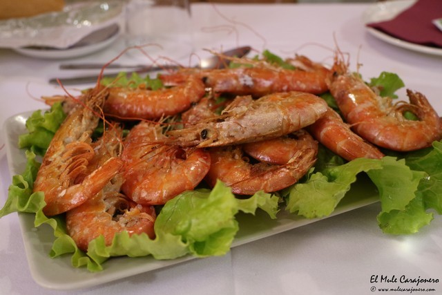 Marisqueria Adolfo Comillas