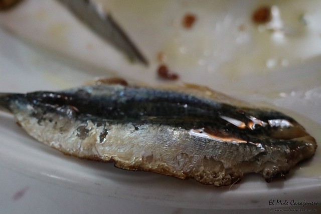 Restaurante Casa Felipe Laredo Cantabria