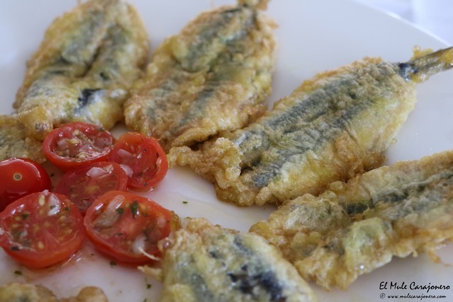 Hotel Restaurante Josein Comillas