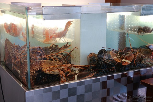 Restaurante la Flor de Miranda Santander