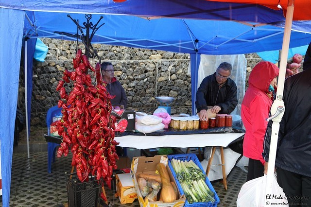 V Feria del pimiento de Isla
