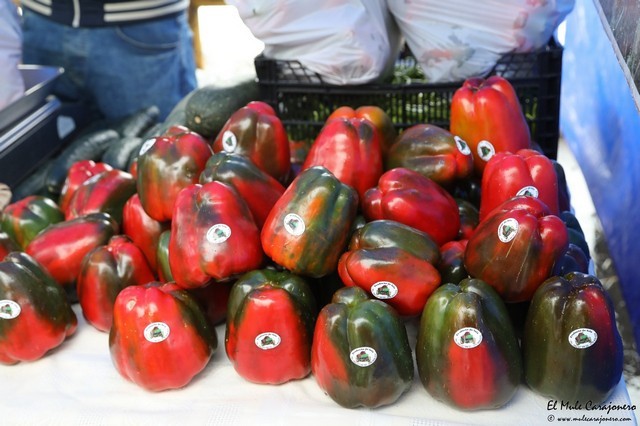 V Feria del pimiento de Isla