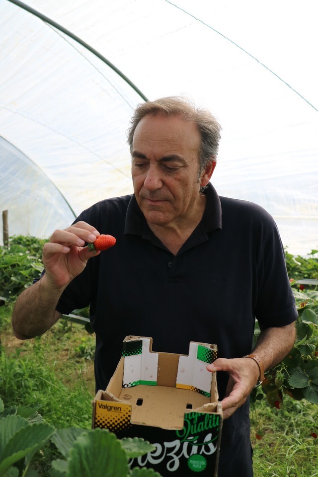 Invernaderos Jardineria Galizano 