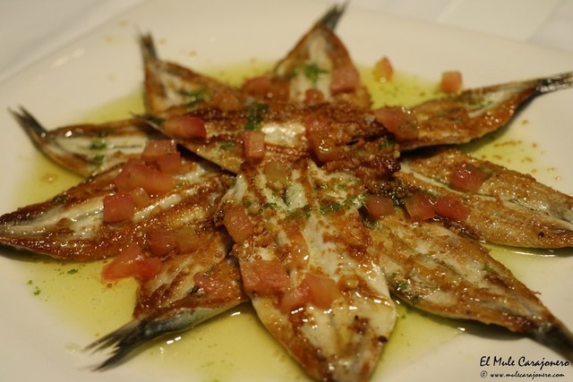 Restaurante Zissou Santander