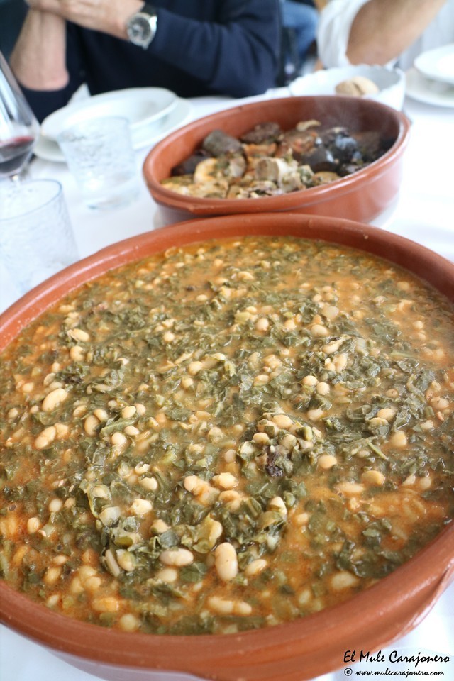 Josein Comillas Cantabria