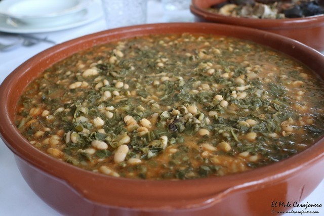 Josein Comillas Cantabria