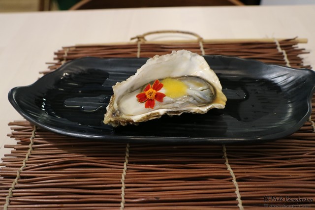 Cantabria Santander Kokoro