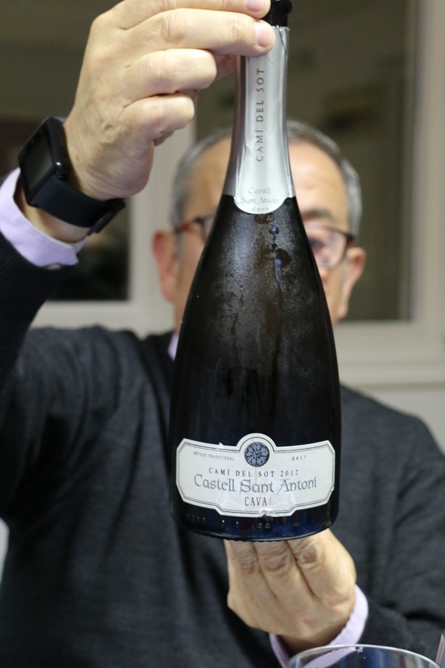 2017 12 castel antoni cattier 001