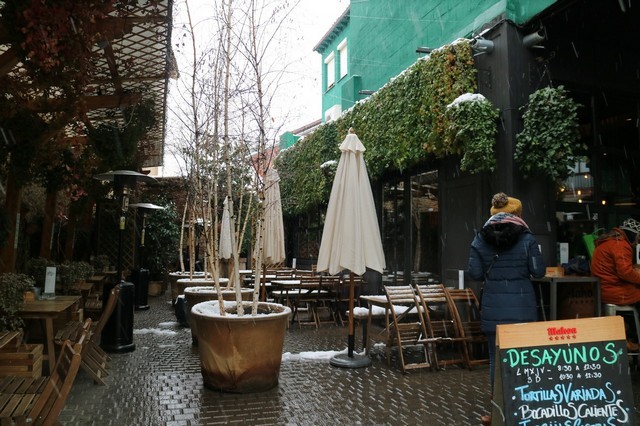 Leon de Tapas