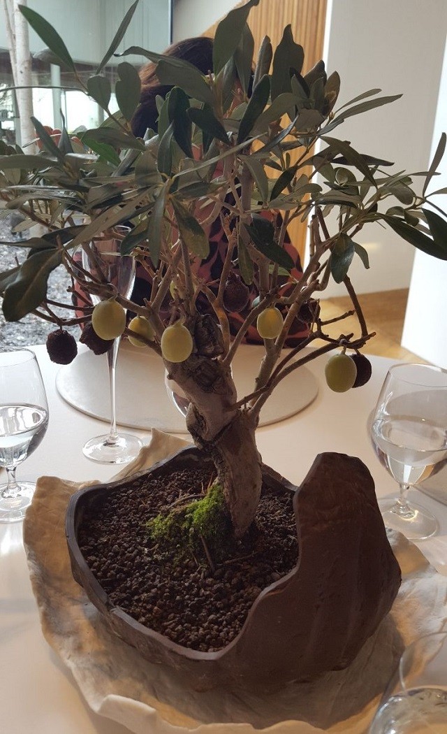 2018 03 celler roca 035
