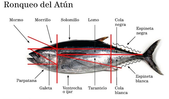 Ronqueo Atun Restaurante la Prensa Santander