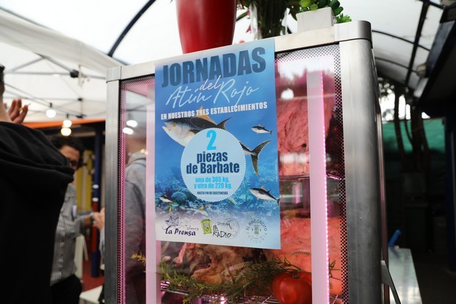 Ronqueo Atun Restaurante la Prensa Santander
