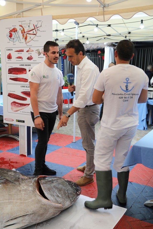 Ronqueo Atun Restaurante la Prensa Santander
