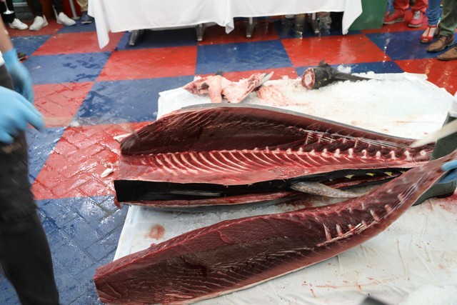 Ronqueo Atun Restaurante la Prensa Santander