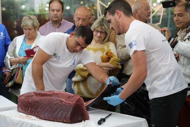 Ronqueo Atun Restaurante la Prensa Santander