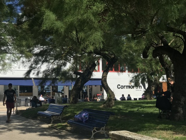 2018 06 cormoran 001