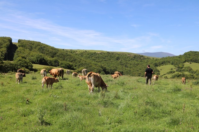 2018 07 lejuca front 001