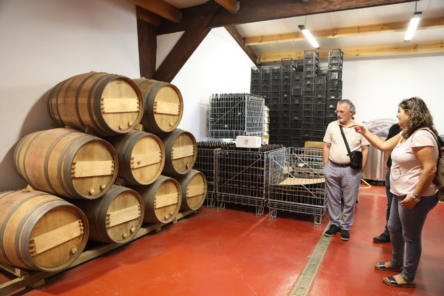 Bodegas El Miradorio De Ruiloba