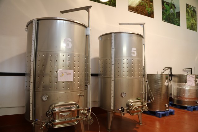 Bodegas El Miradorio De Ruiloba