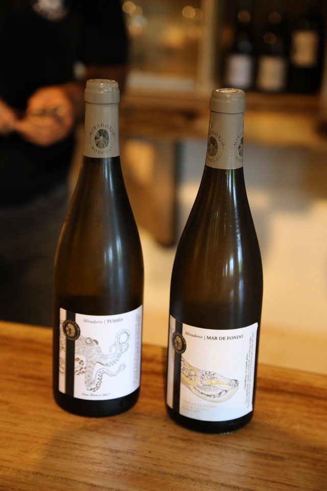 Bodegas El Miradorio De Ruiloba